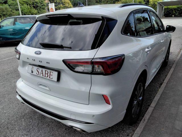 FORD Kuga 1.5 EcoBlue 120 CV 2WD ST-Line