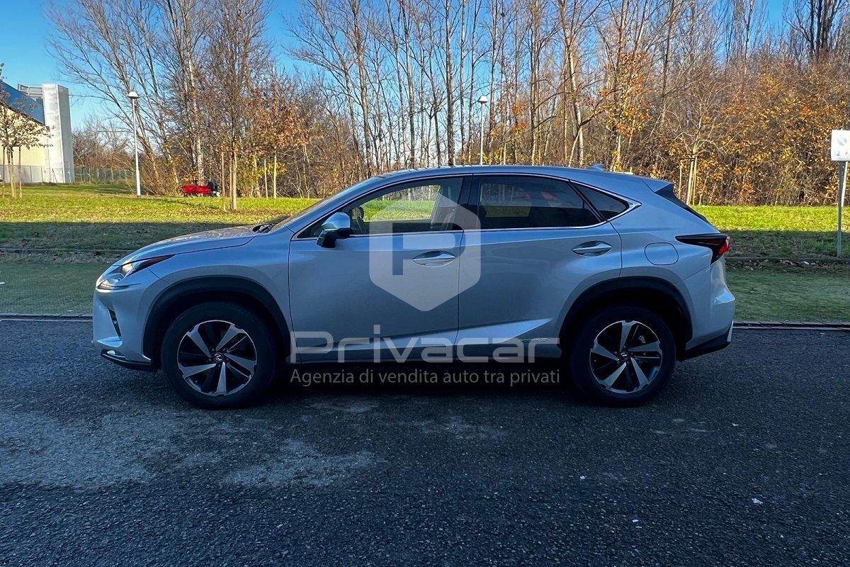 LEXUS NX Hybrid 4WD Luxury