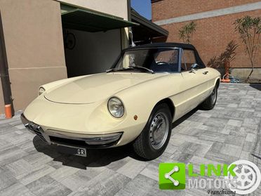 ALFA ROMEO Spider 1.3 Junior Osso di Seppia ASI TARGA ORO