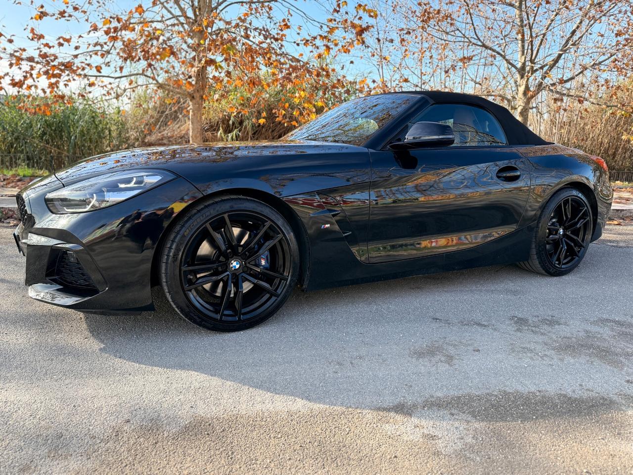 Bmw Z4 30i 258cv Msport Tagliandi BMW