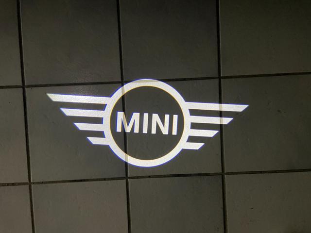 MINI Countryman D Classic Countryman CERCHI DA 19''