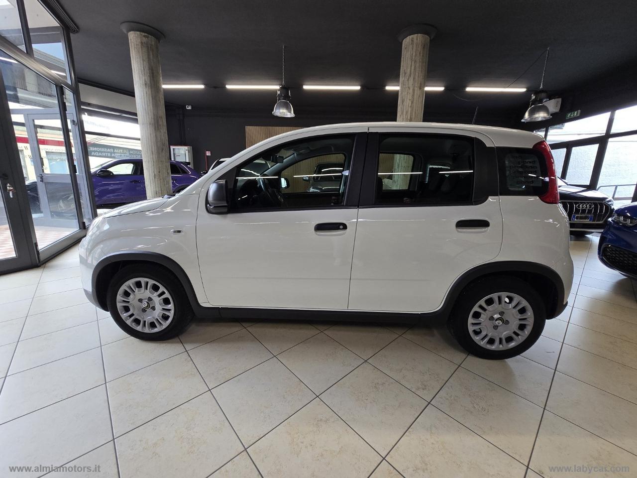 FIAT Panda 1.0 FireFly S&S Hybrid Pandina