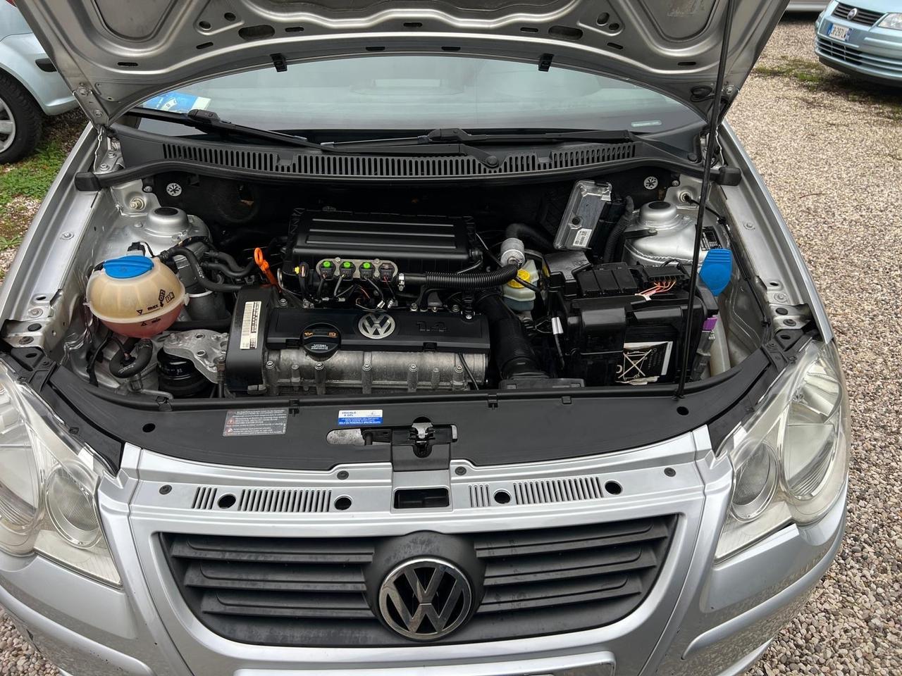 Volkswagen Polo 1.4/80CV 16V 5p. Comfort. BiFuel G