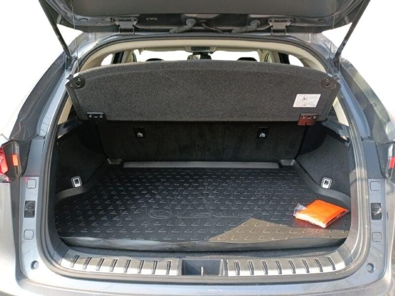 Lexus NX NX Hybrid Business