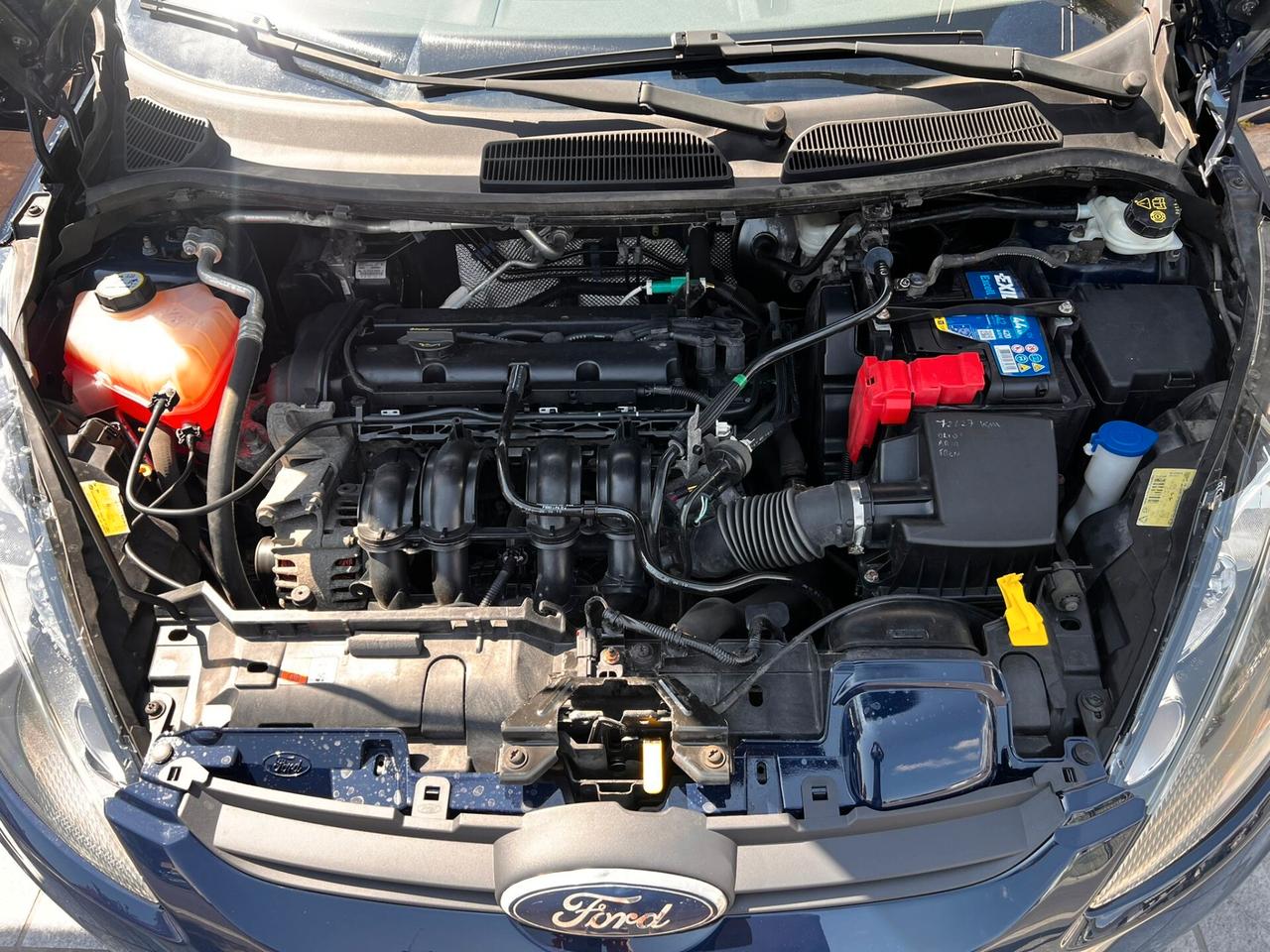 Ford Fiesta Fiesta+ 1.2 60CV 5 porte