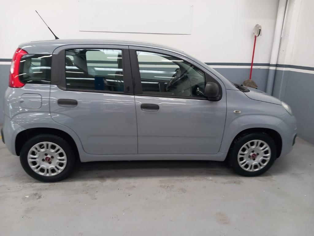 FIAT Panda III 2016 - Panda 1.2 Easy 69cv