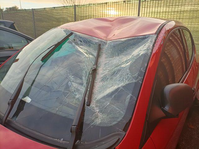 LANCIA Ypsilon 1.0 FireFly 5 porte S&S Hybrid Ecochic Silver