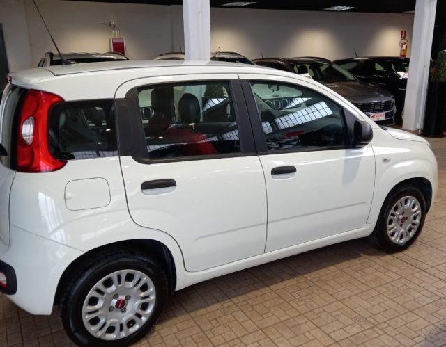 FIAT Panda 1.0 GSE S&S Hybrid Easy Van 4 posti