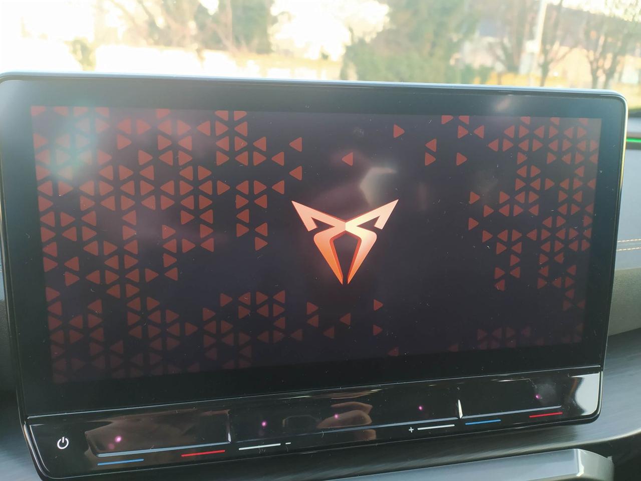 Cupra Formentor Tribe Edition 2.0 TDI #8281