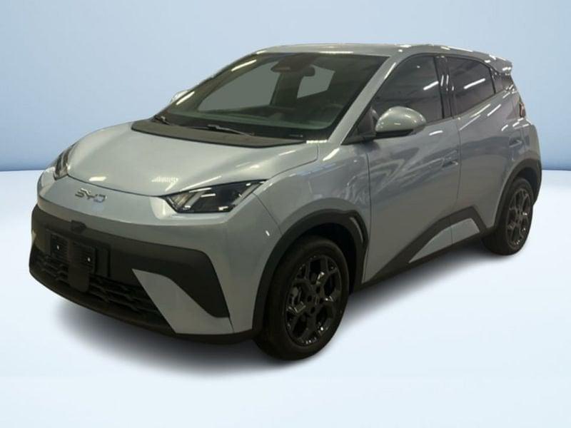 BYD Dolphin Surf Comfort