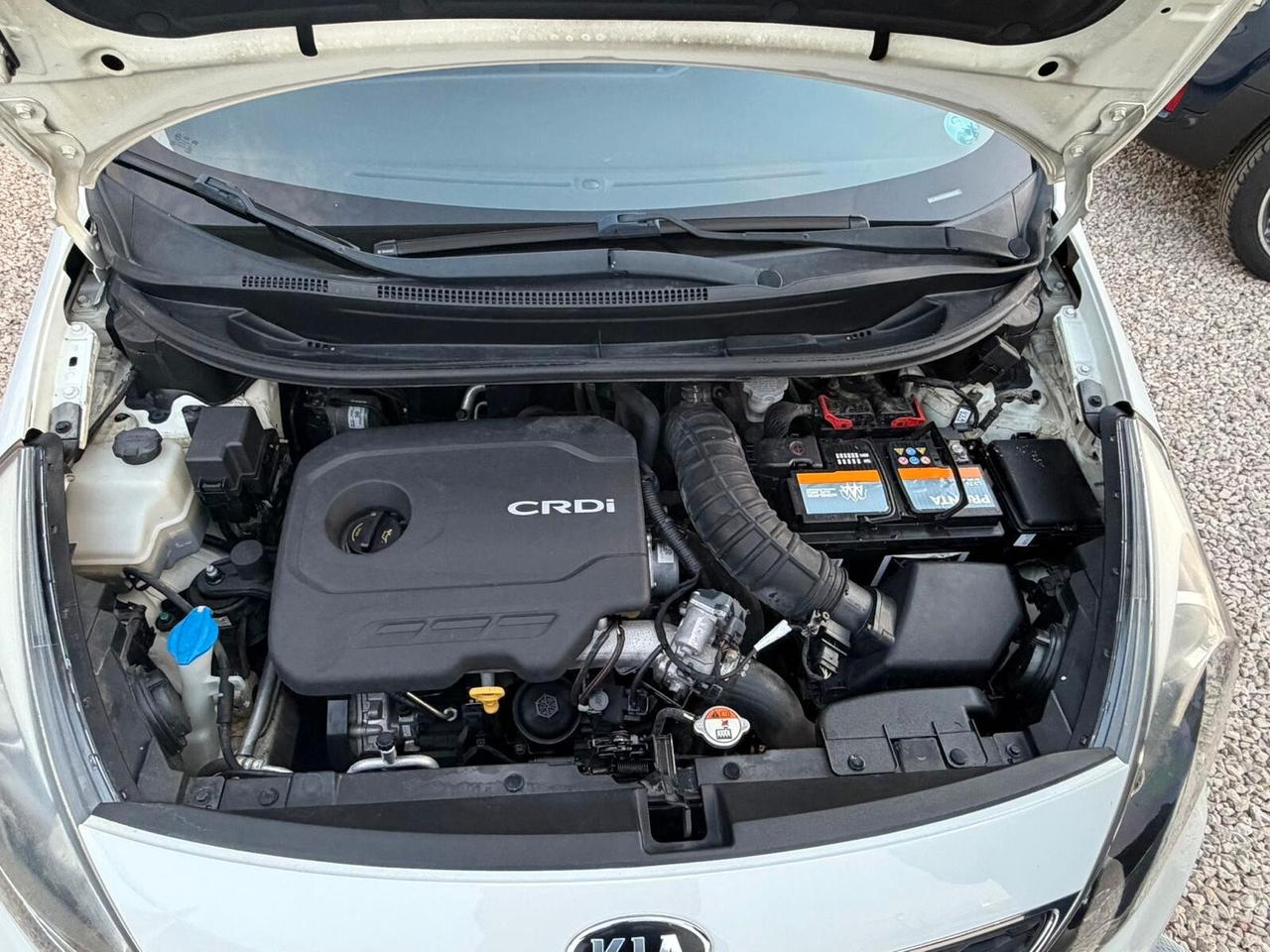 Kia Rio 1.4 CRDi 5p. Cool