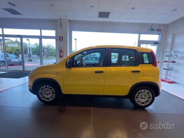 FIAT Panda 1.0 70cv Hybrid Panda N71609