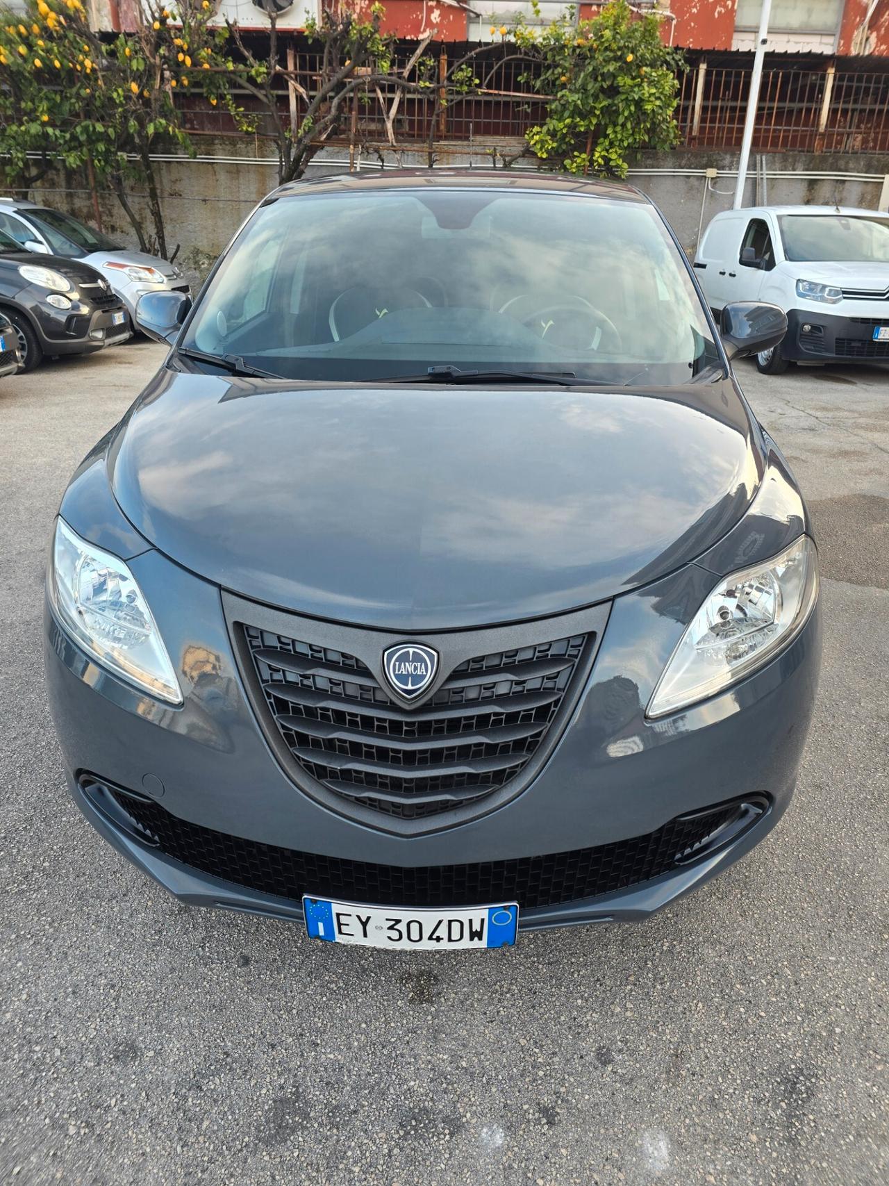Lancia Ypsilon 0.9 TwinAir 85 CV 5 porte Metano Ecochic Elefantino