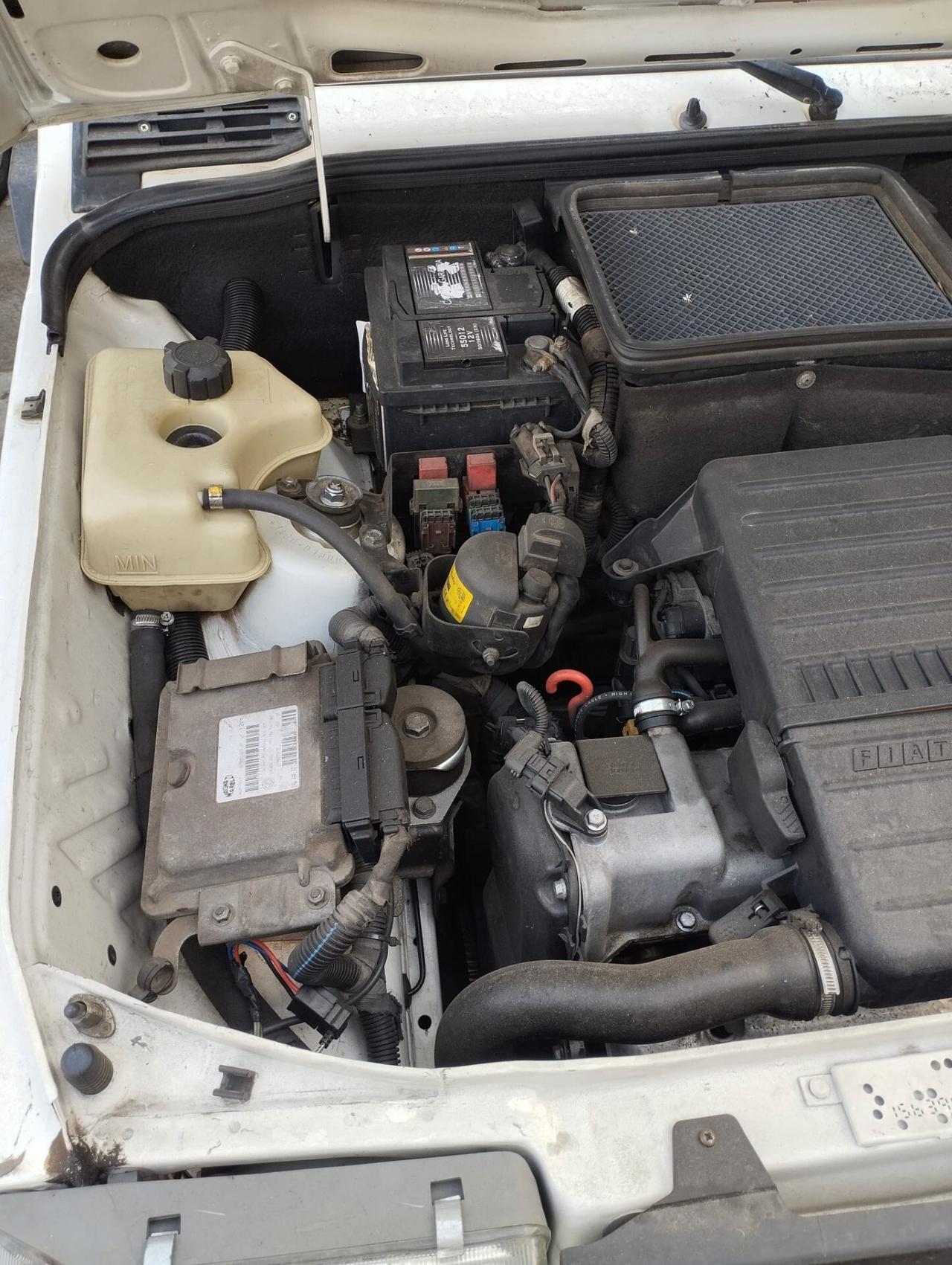 Fiat Panda 1100 i.e. cat Young