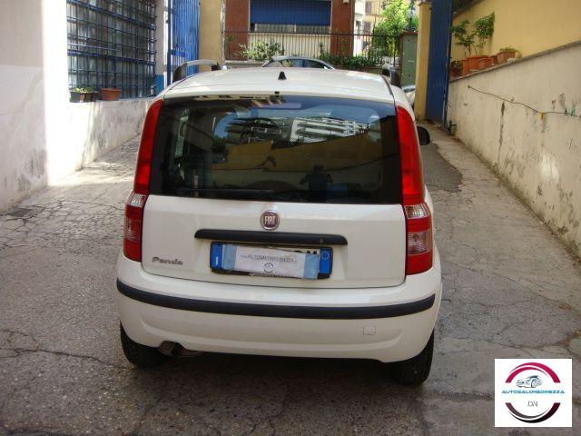 FIAT - Panda - 1.2 Classic