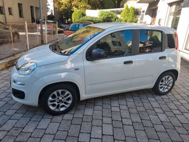 Fiat Panda 1.2 Lounge 69cv anno2018 km64000 neopat