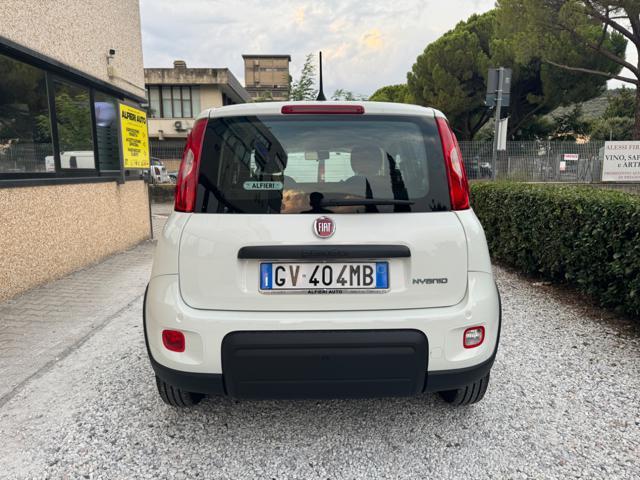 FIAT Panda 1.0 FireFly Hybrid 70cv S&S MT6 - KmZero