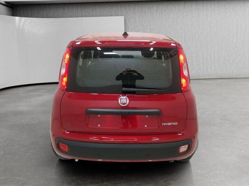 FIAT Pandina 1.0 firefly hybrid Icon s&s 70cv 5p.ti