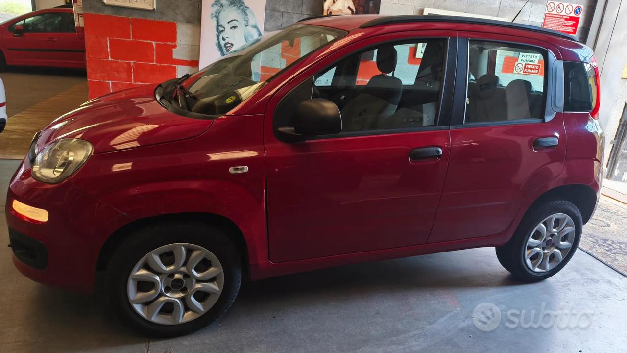 fiat panda