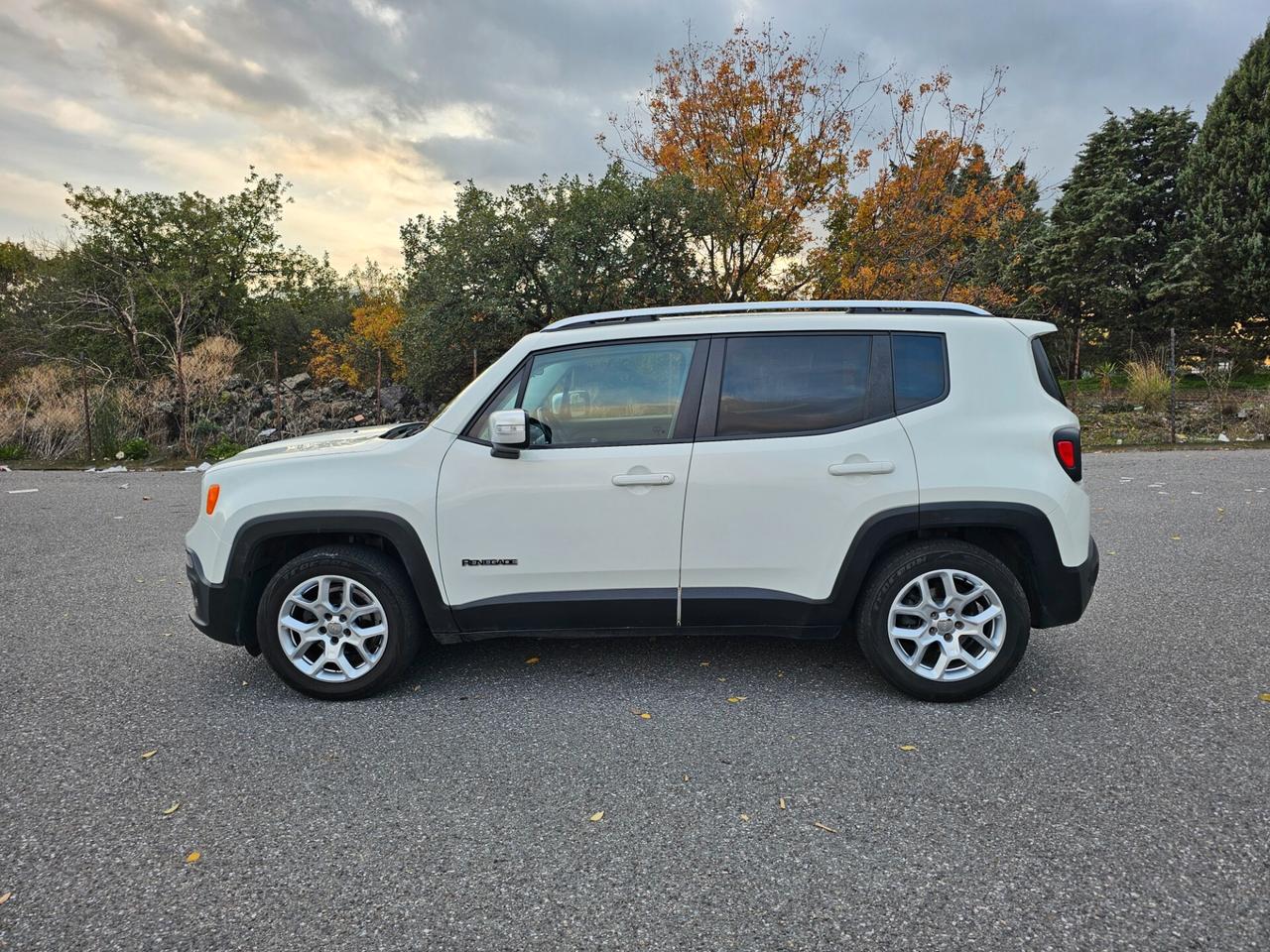 Jeep Renegade 1.6 Mjt 120 CV Limited Block System