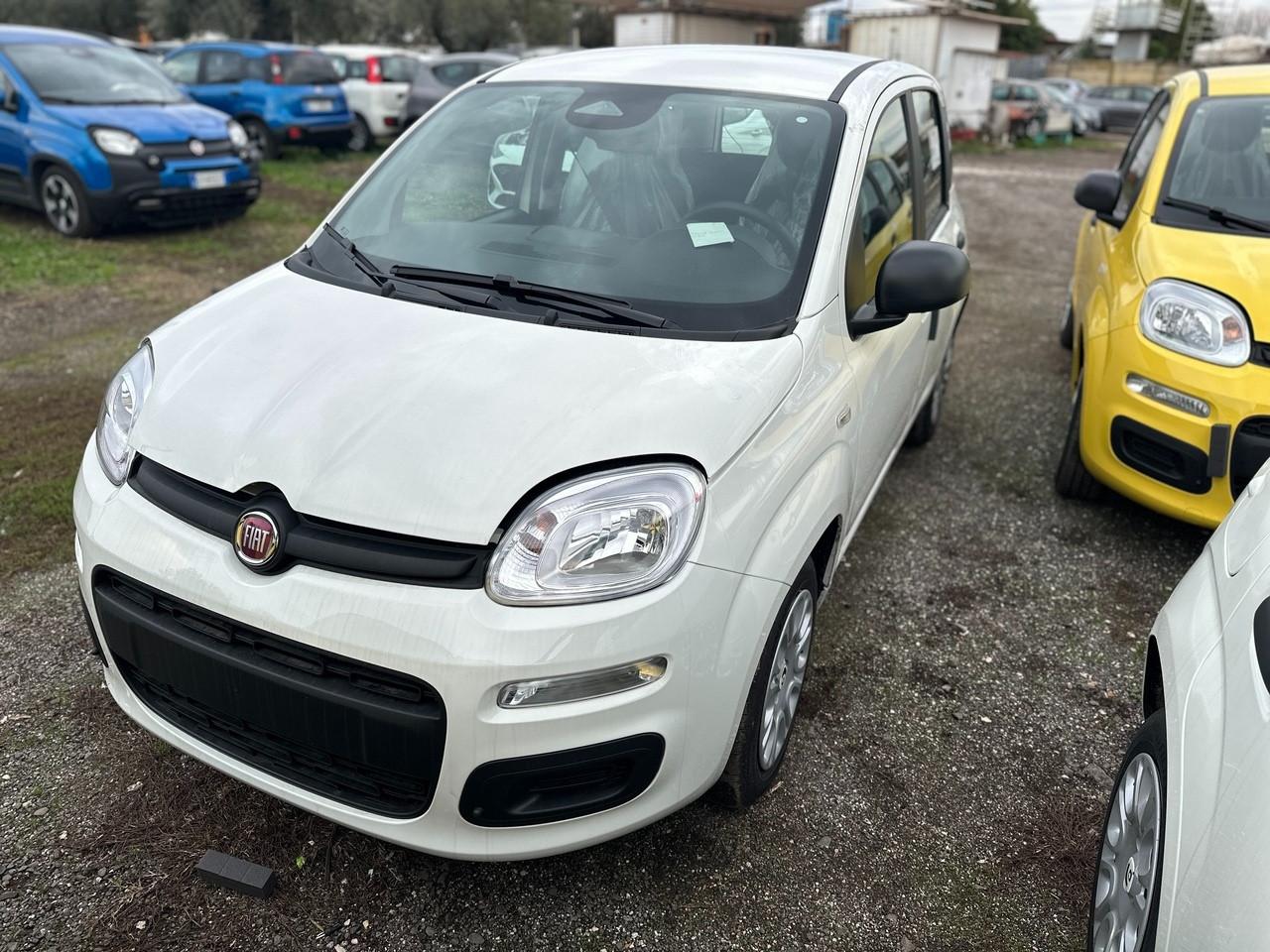 FIAT Pandina III 2024 - Pandina 1.0 firefly hybrid s&s 70cv 5p.ti