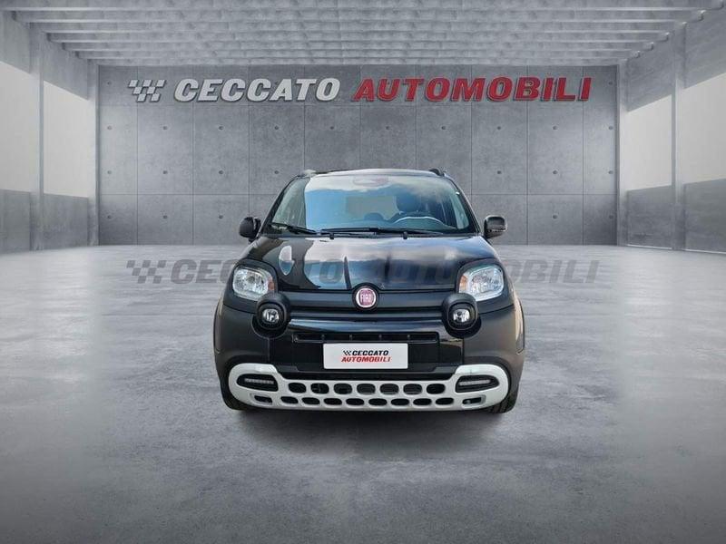 FIAT Panda Panda My25 1.0 70cv Hybrid Pandina