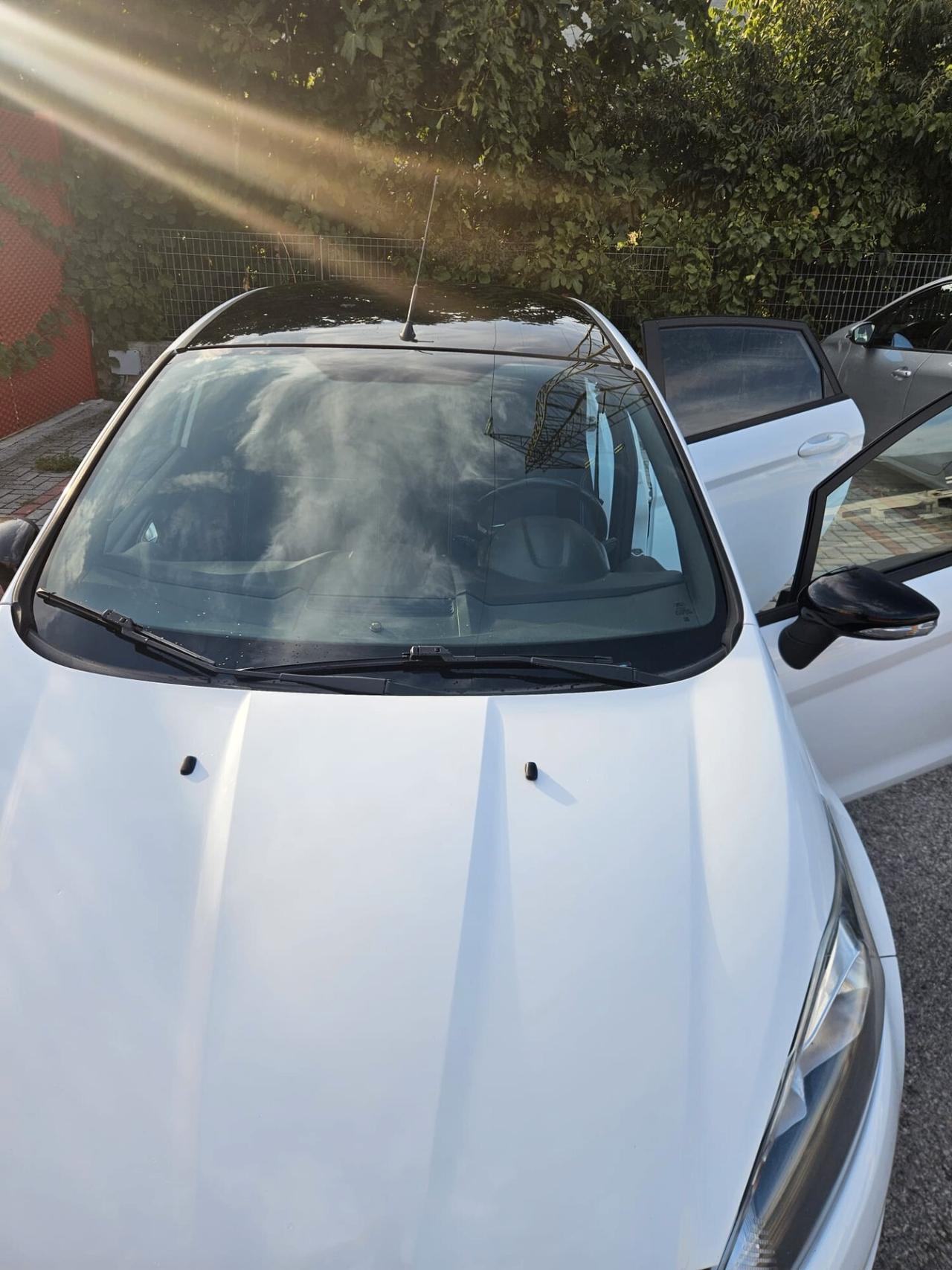 Ford Fiesta 1.0 80CV 5 porte Black & White Edition