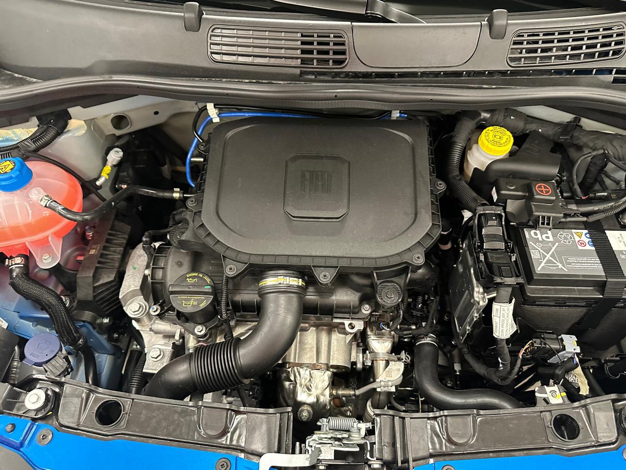 Fiat Panda 1.0 FireFly S&S Hybrid 70 CV KM0 - 2025