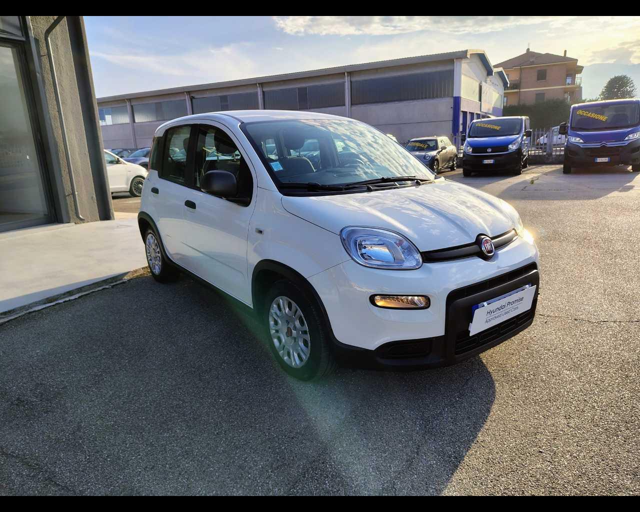 FIAT Panda III 2021 - Panda 1.0 firefly hybrid s&s 70cv