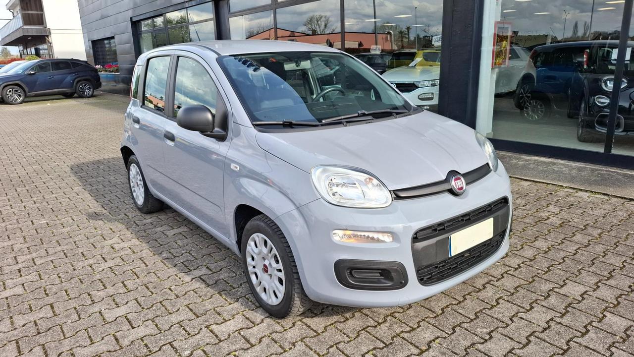 Fiat Panda 1.2 Easy easypower Gpl 69cv my19