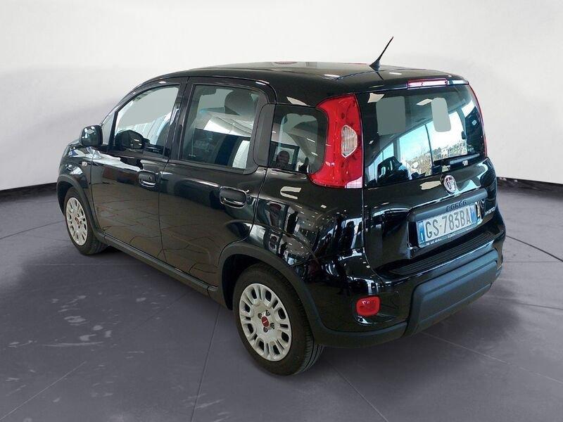 FIAT Panda 3ª serie 1.0 FireFly S&S Hybrid