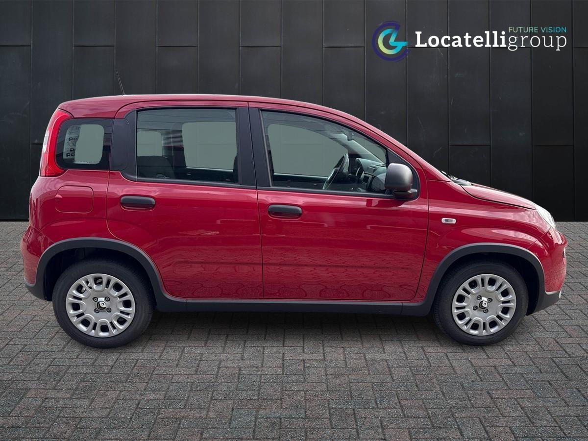 FIAT Panda III 2024 - Panda 1.0 firefly hybrid s&s 70cv