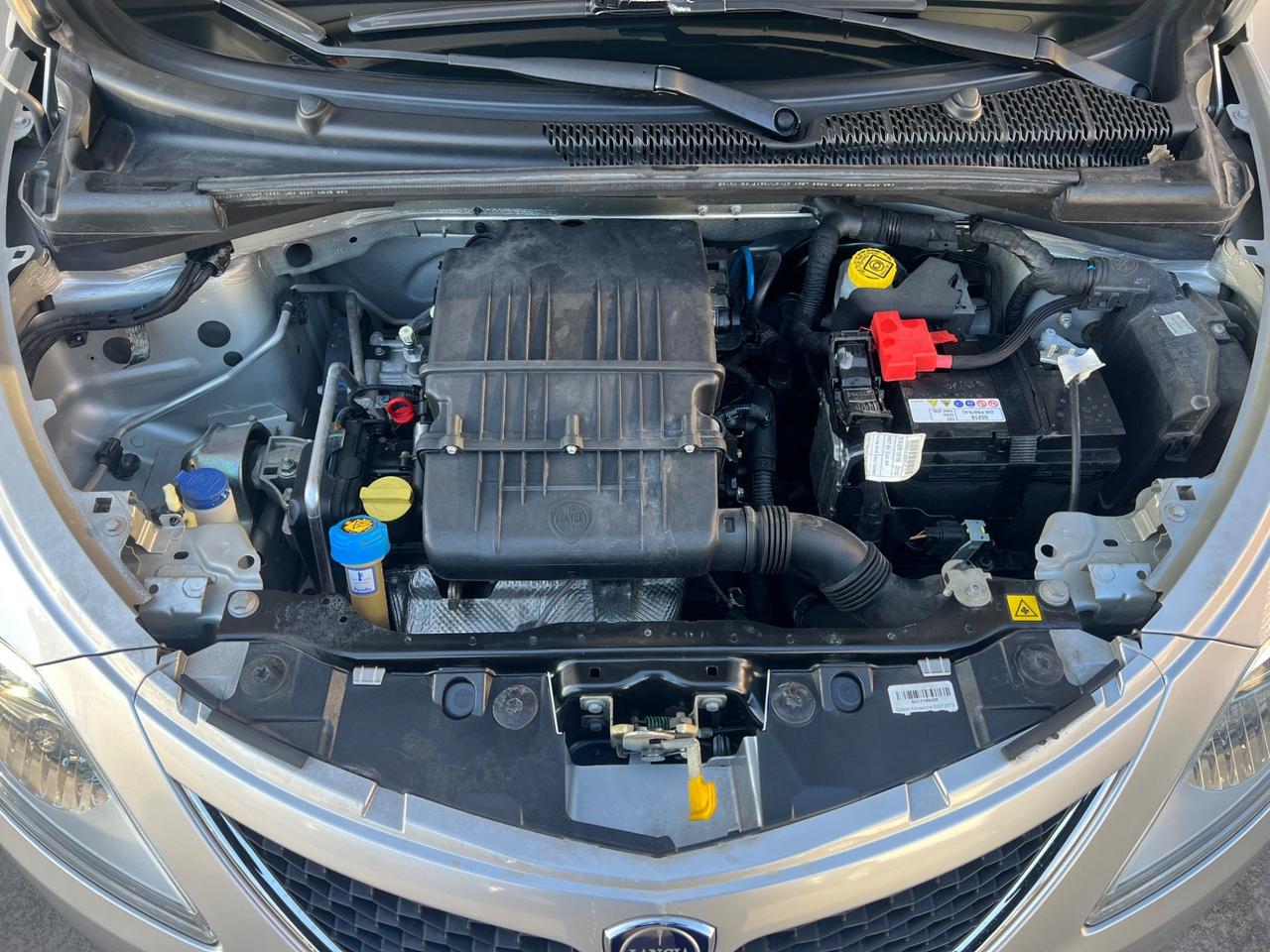 Lancia Ypsilon 1.2 69 CV 5 porte Silver