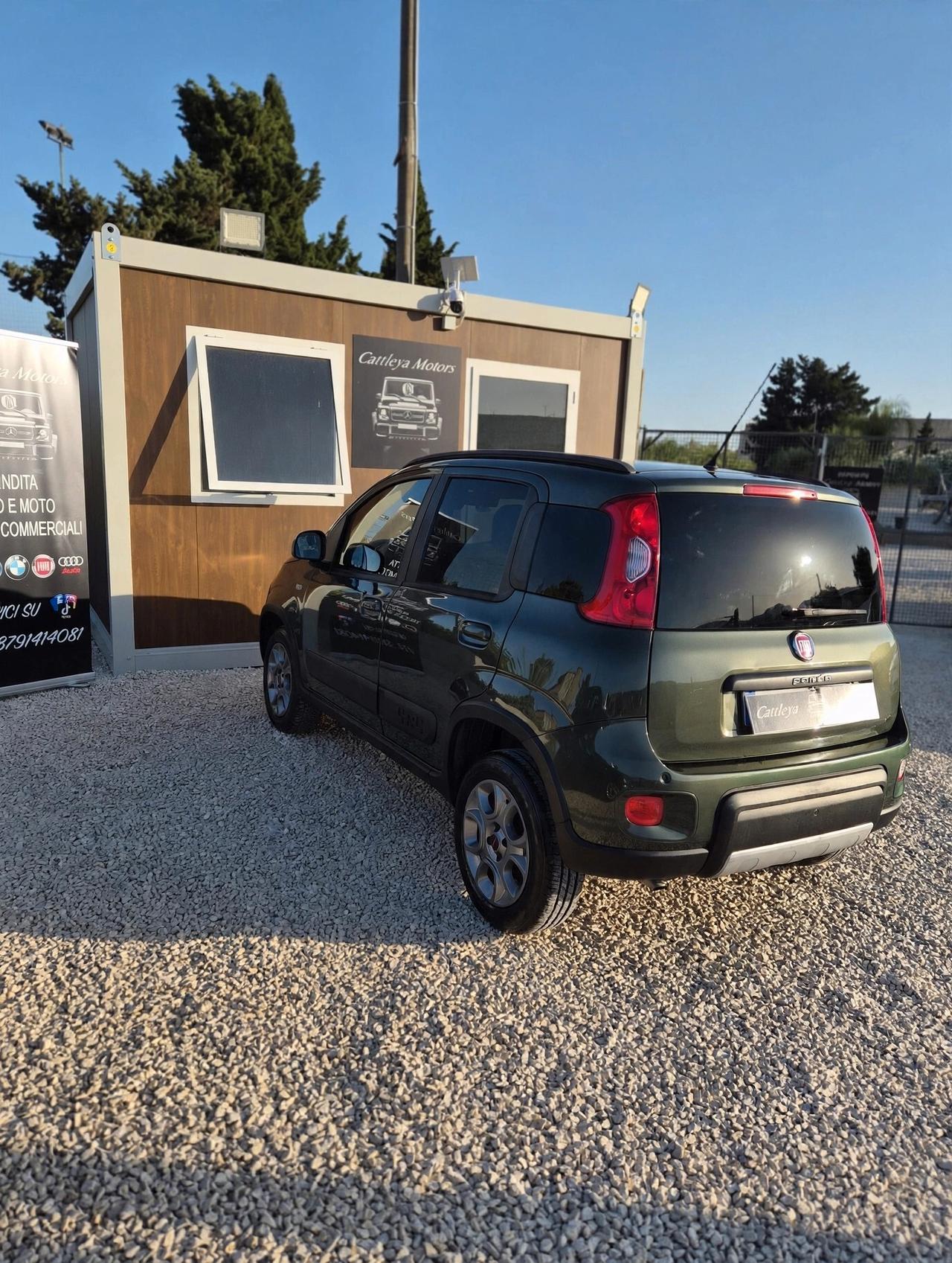 Fiat Panda 1.3 MJT 4x4 van 2 posti