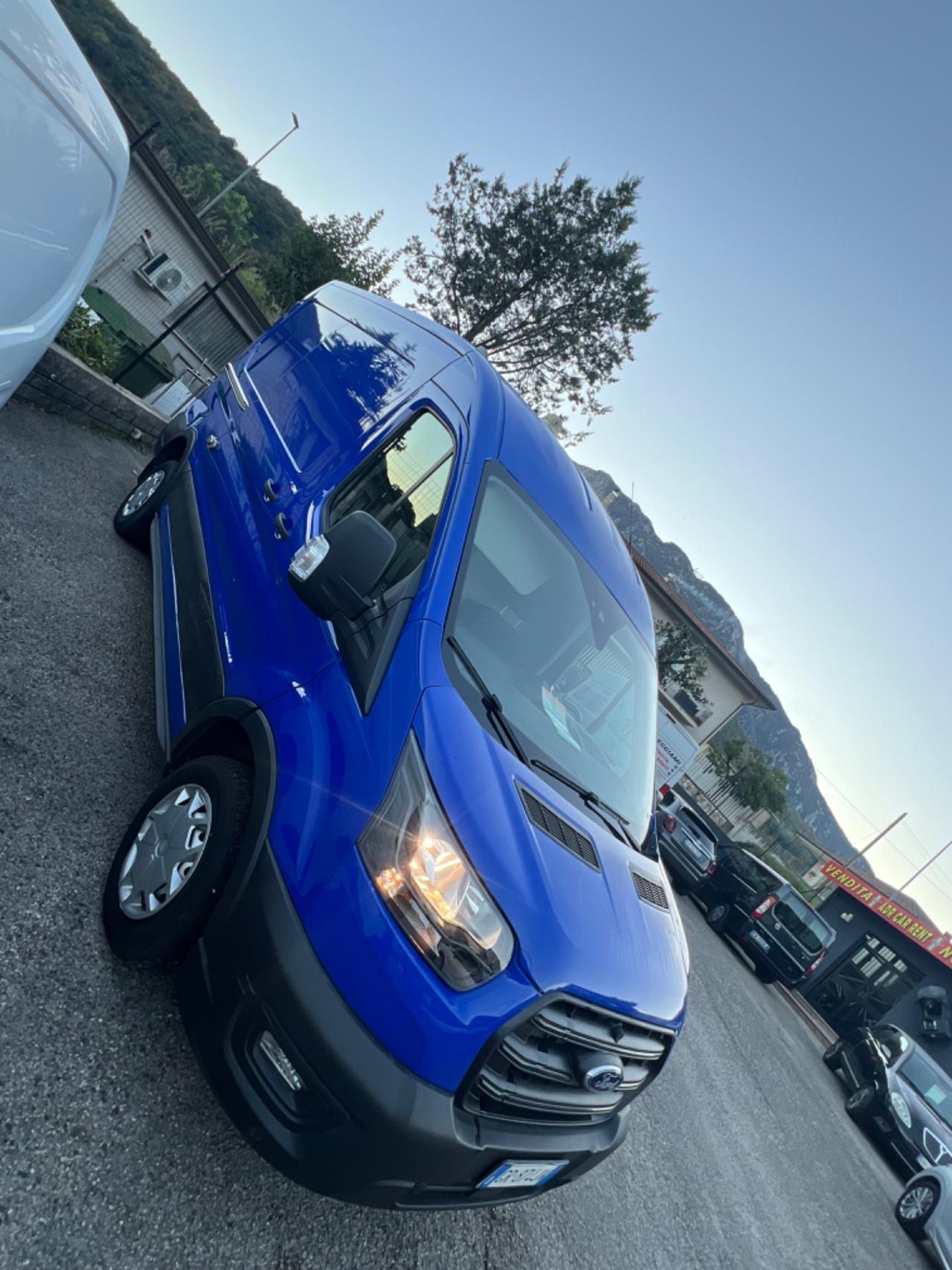 Ford Transit 290 2.0TDCi EcoBlue PM-TM Furgone