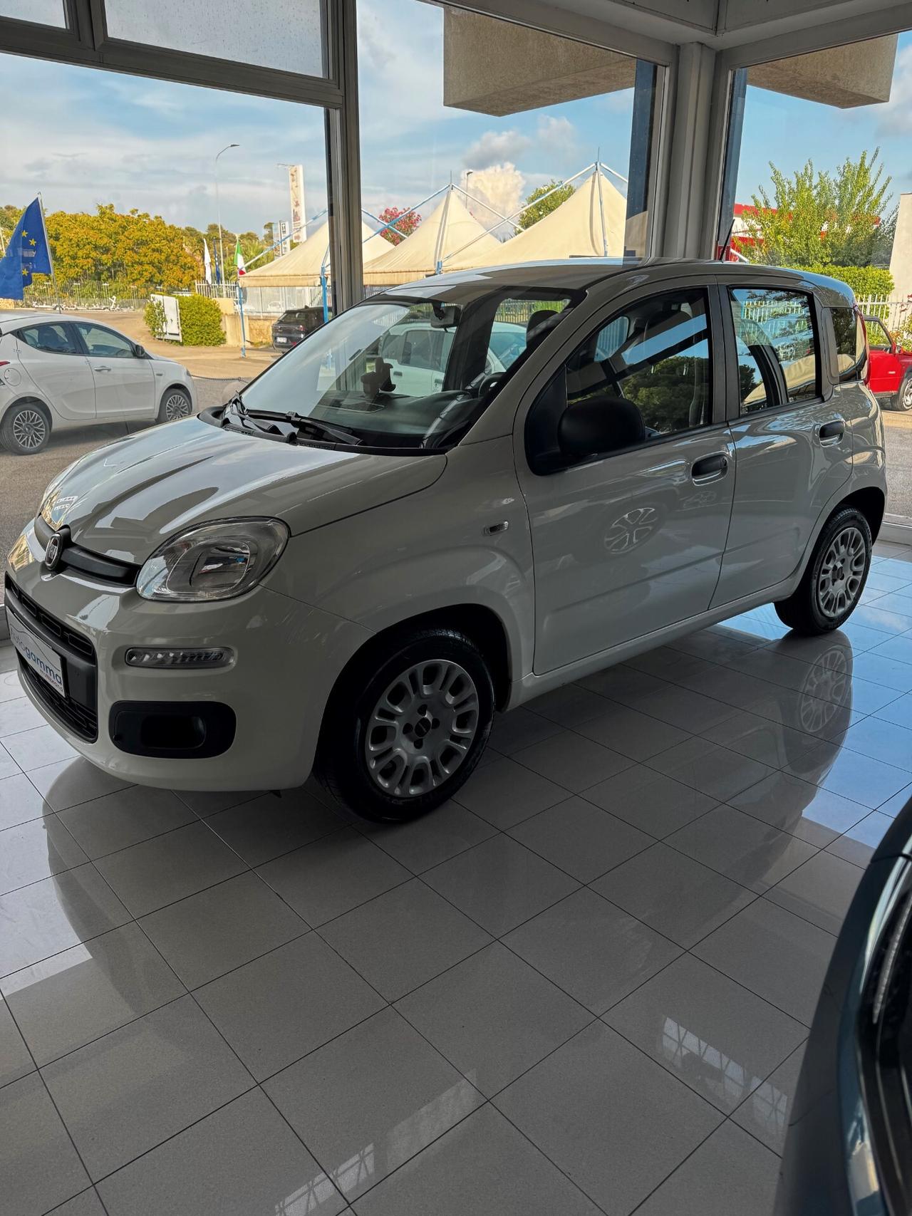 FIAT - PANDA 1.2 -BZ FULL OTIONAL