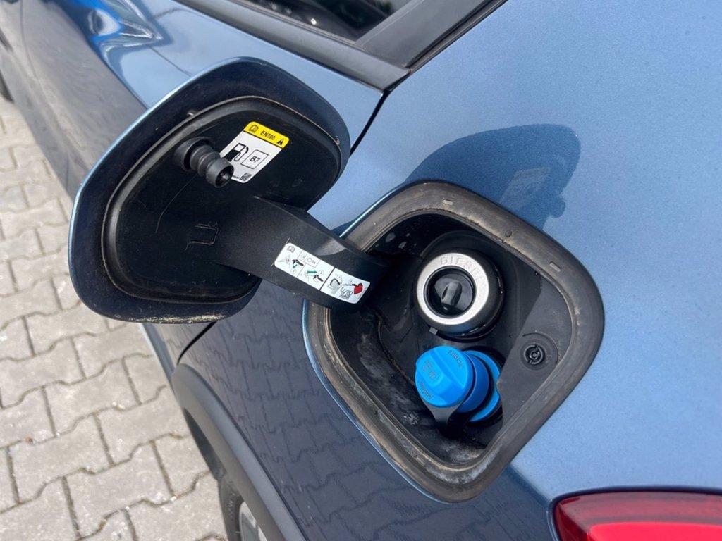 FORD Focus 1.5 EcoBlue 120 CV automatico 5p. Active Co-Pilot del 2021