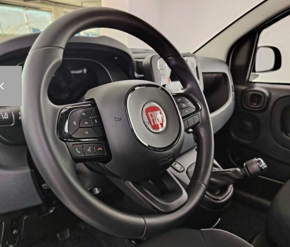 Fiat Panda 1.0 FireFly S&S Hybrid Icon