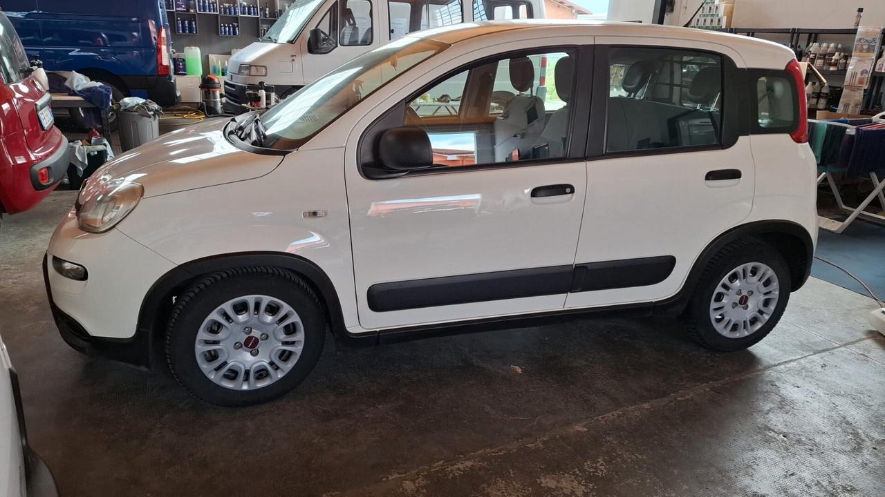 PANDA VAN 4 POSTI