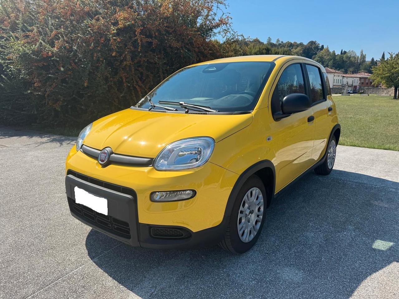 Fiat Panda 1.0 FireFly S&S Hybrid Pandina- 1.516 KM – 2024