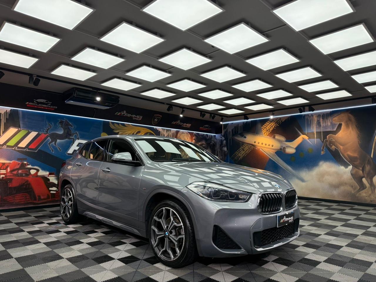 Bmw X2 sDrive18d Msport-X (500)