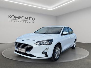 FORD Focus 1.0 EcoBoost 100 CV 5p. Business