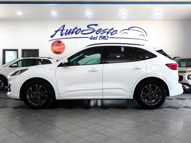 Ford Kuga 1.5 EcoBlue 120 CV POWERSHIFT ST LINE