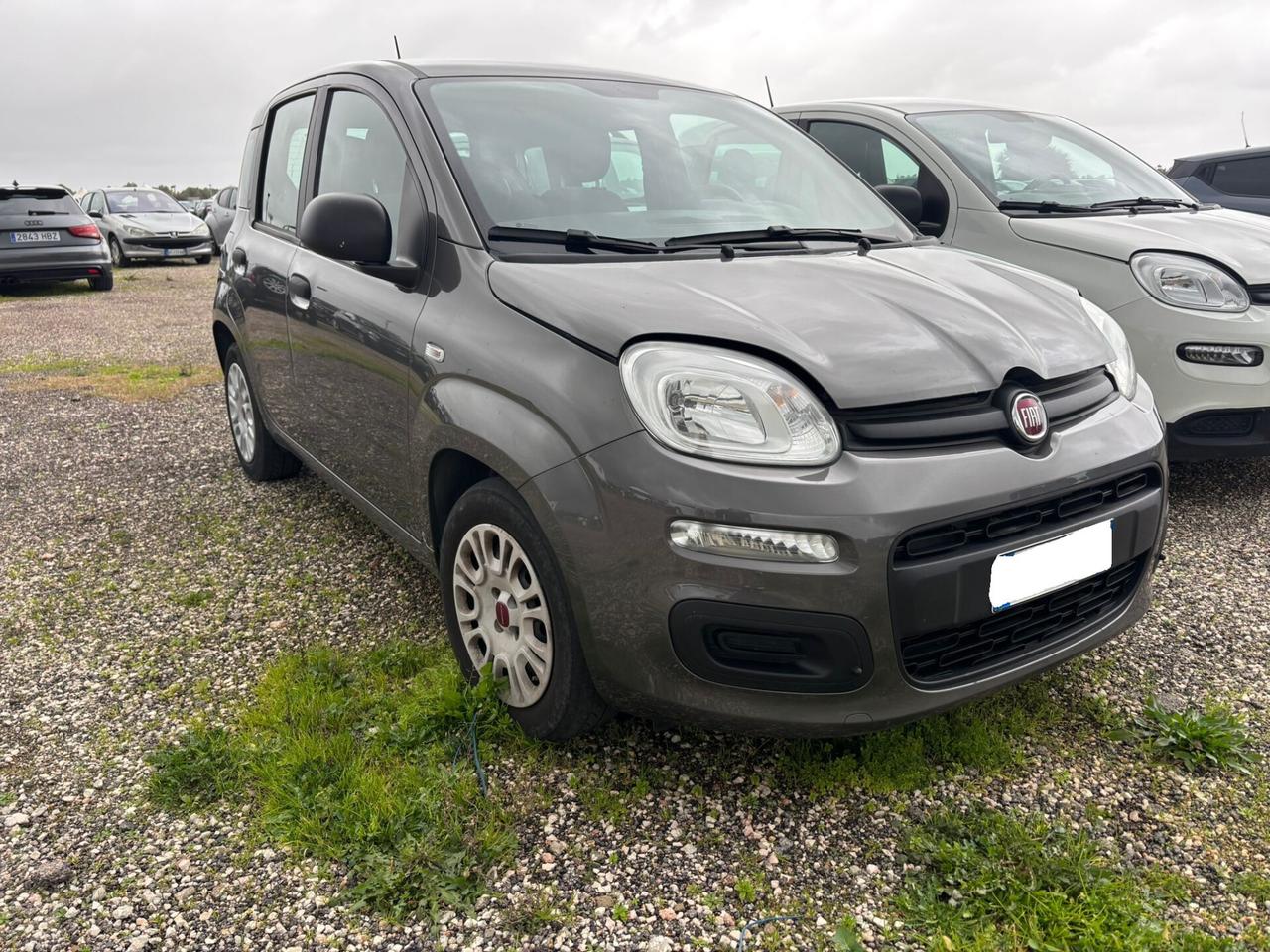 Fiat Panda 1.0 FireFly S&S Hybrid Easy GARANZIA 12 MESI