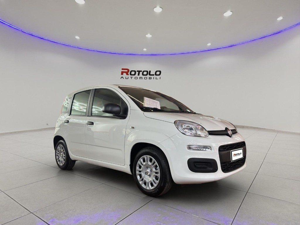 FIAT Panda 3ª serie Panda 1.2 EasyPower Easy