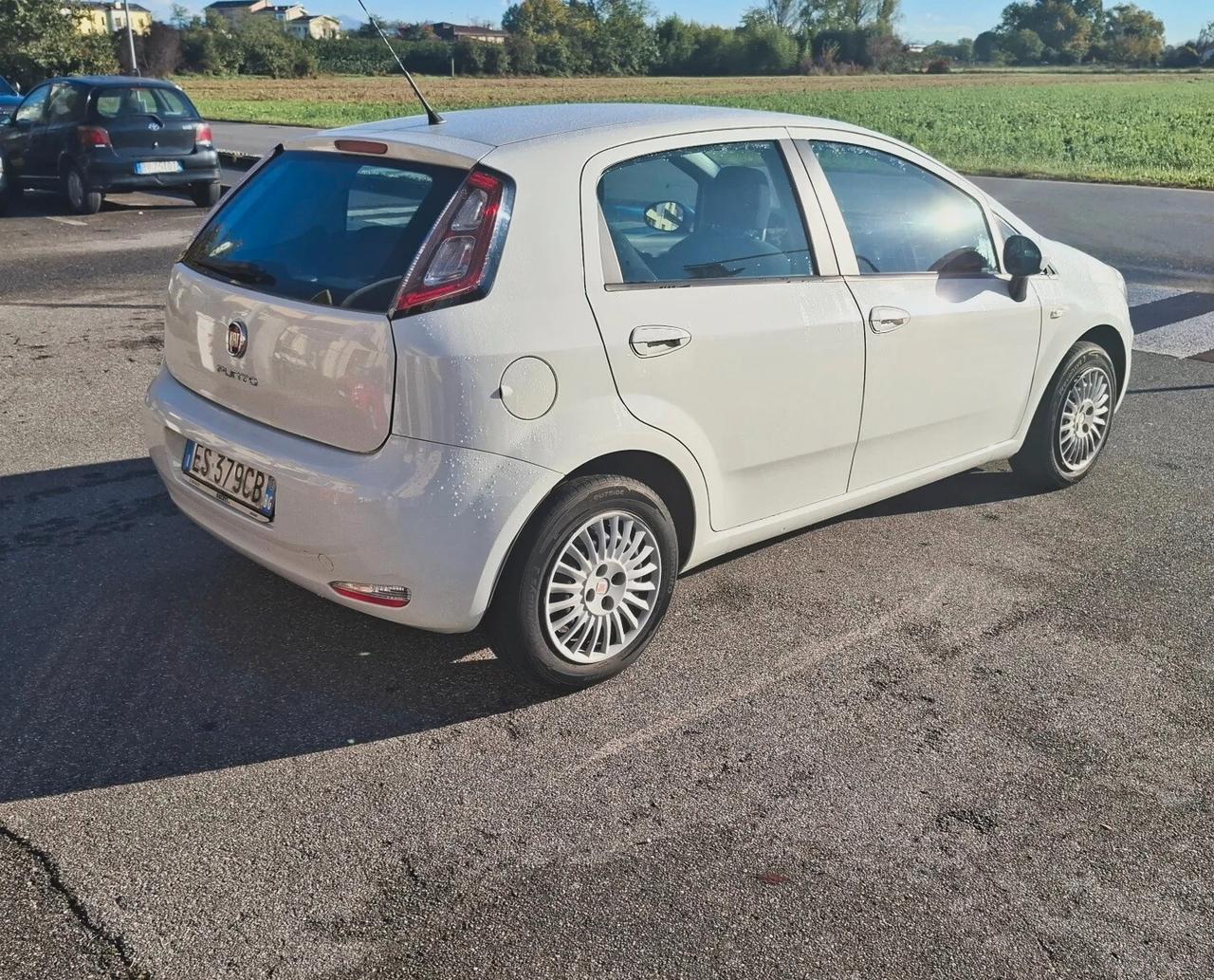 Fiat Punto 1.2 8V 5 porte Easy