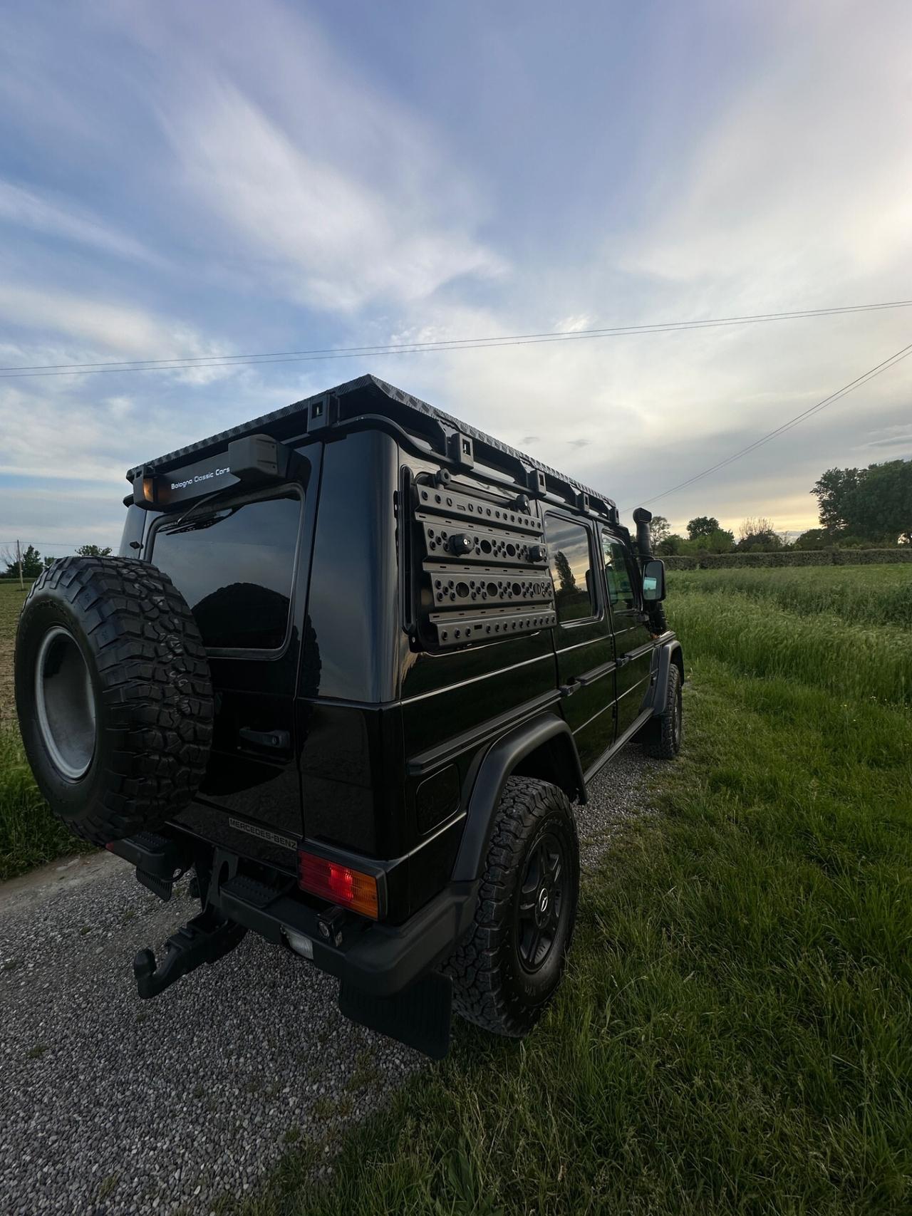 Mercedes-benz G 300 Professional