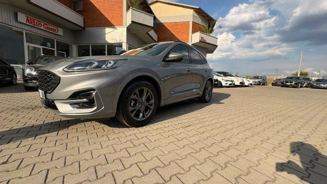 FORD Kuga 1.5 EcoBlue 120 CV aut. 2WD ST-Line IVA ESPOSTA