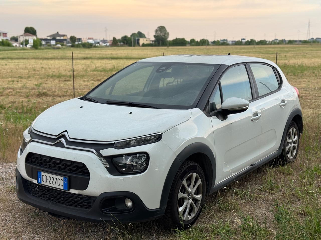 Citroen C3 1.5 BlueHDi 102cv Van 2 Posti