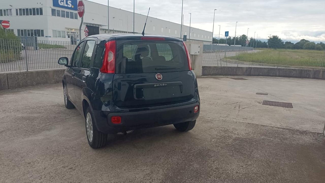 Fiat Panda 1.2 Easy UNICO PROPRIETARIO